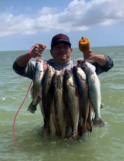 956 Salty Waders