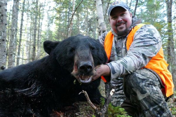 Great Private Black Bear Hunt