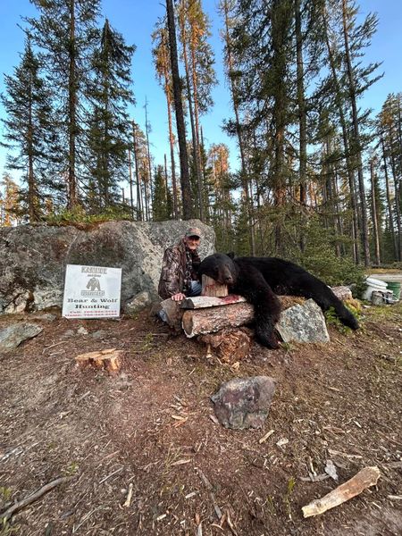 Bear Hunt trophy Ontario