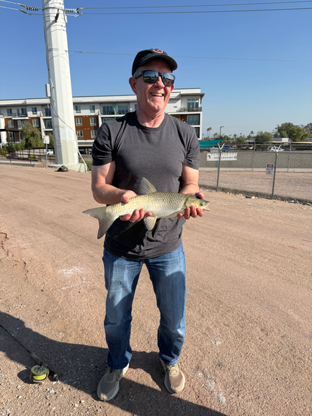 Arizona grass carp brought to the dock successfully.