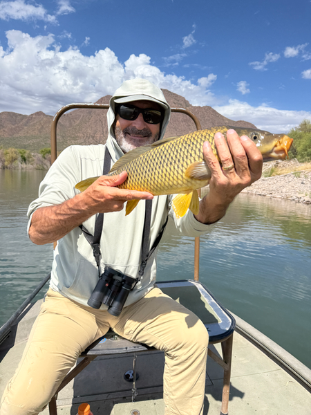Clearing skies promise perfect conditions for landing that elusive Common Carp!