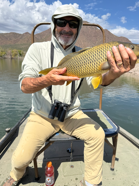 Clearing skies promise prime carp fishing at this scenic recreation spot!