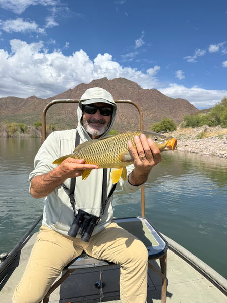 Phoenix's skies cleared just in time for this Common Carp catch!