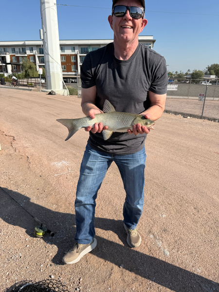 Arizona grass carp catch on the dock!