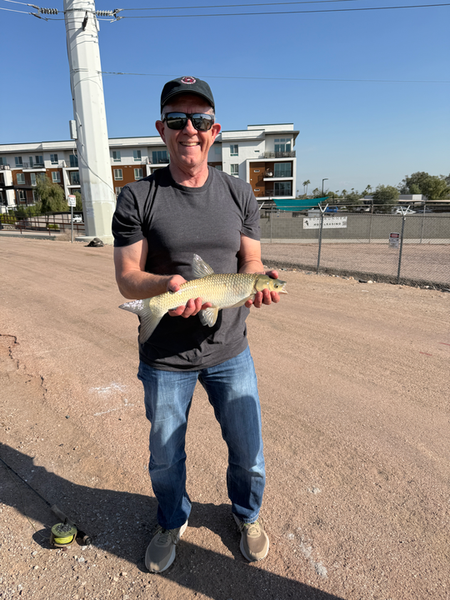 Arizona grass carp success at the marina!