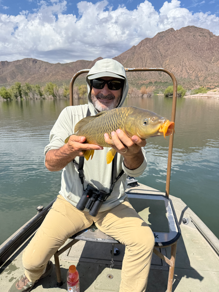 Reeling in a huge 55-inch Common Carp as the skies clear in Phoenix!
