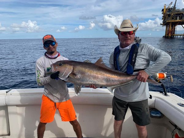 Huge Amberjack victory!
