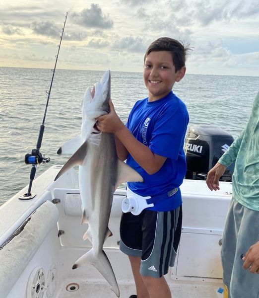 Shark (Blacktip) Encounter in Galveston!