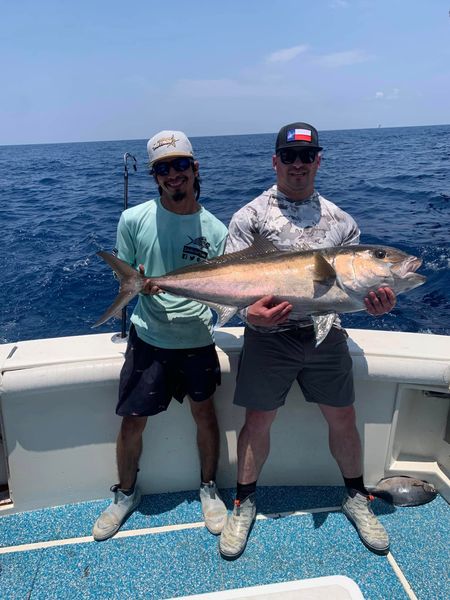 Amberjack celebration!