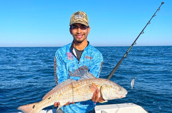 Bull Redfish: Galveston's Finest Catch