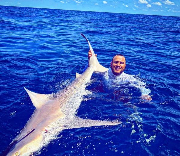 Galveston Fishing Charters: Shark Action!