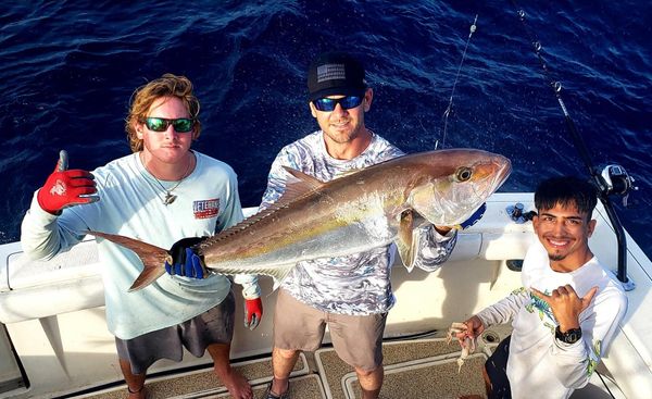 Amberjack victory vibes!