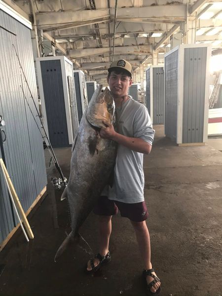 Amberjack powerhouse!