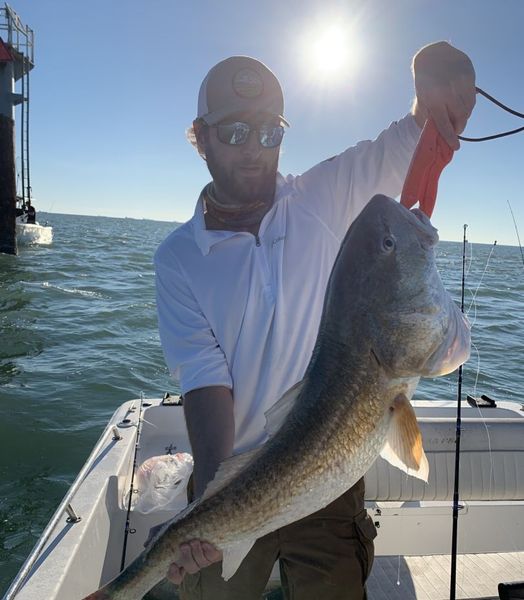 Red Fish Action in Galveston Bay.