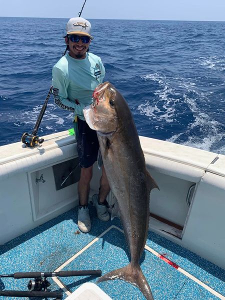 Massive Amberjack moment!