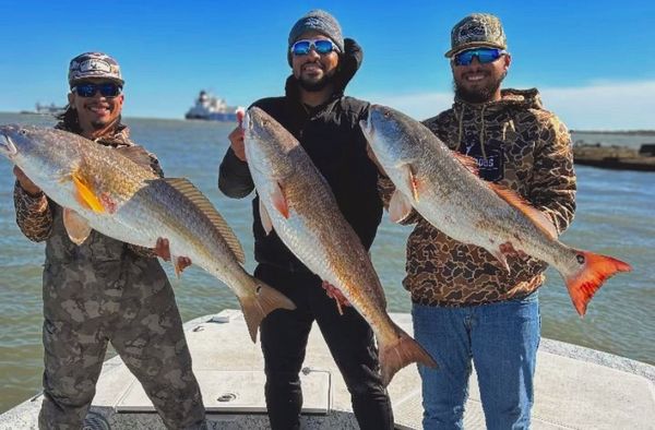 Soak in the sun, reel in the fun.
