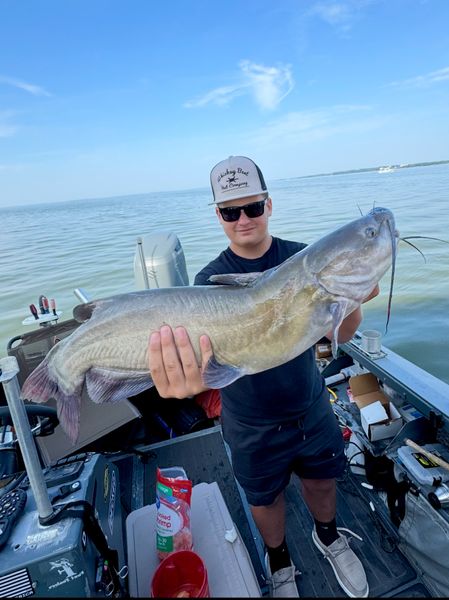 Catfish for days on lake Erie 