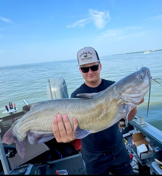What A Fish!