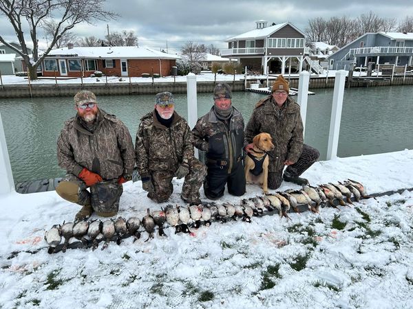 Fresh air, focus, and fun.