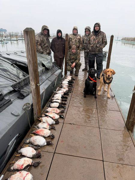 Every hunt tells a story.