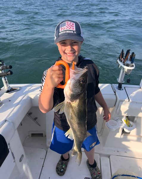 Reel in the calm, reel in the fun.