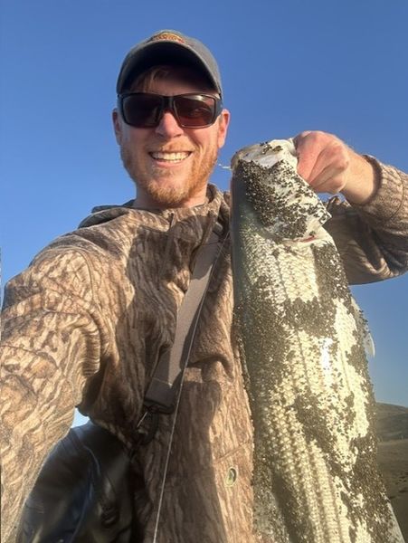 Nice Flathead Grey Mullet from El Cerrito waters!
