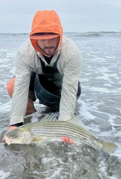 Beautiful striped bass landed in El Cerrito waters!