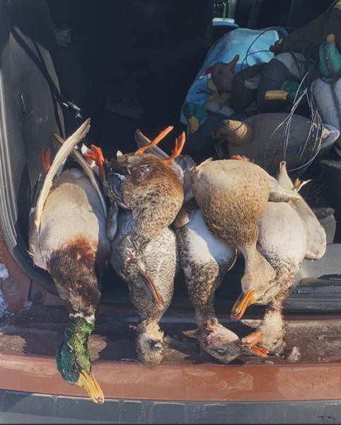 Each hunt is carefully planned by our experienced Oklahoma waterfowl hunting guide team.