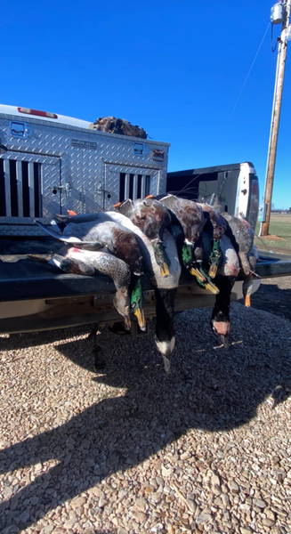 Guests are having an incredible experience on private hunting trips in Oklahoma with small groups.