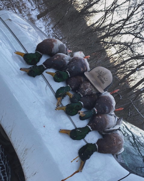 Guests are fully immersed in the action during our guided duck hunting Oklahoma trips