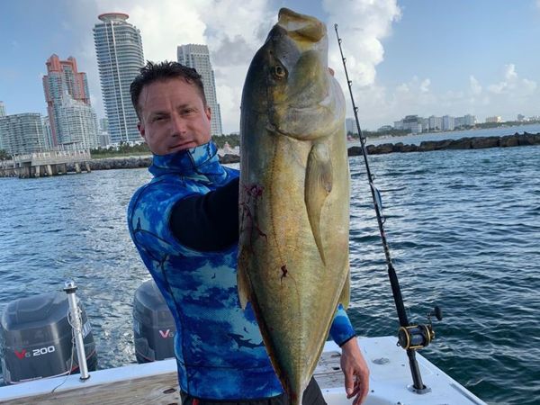 The elusive Brassy Trevally! Awesome!