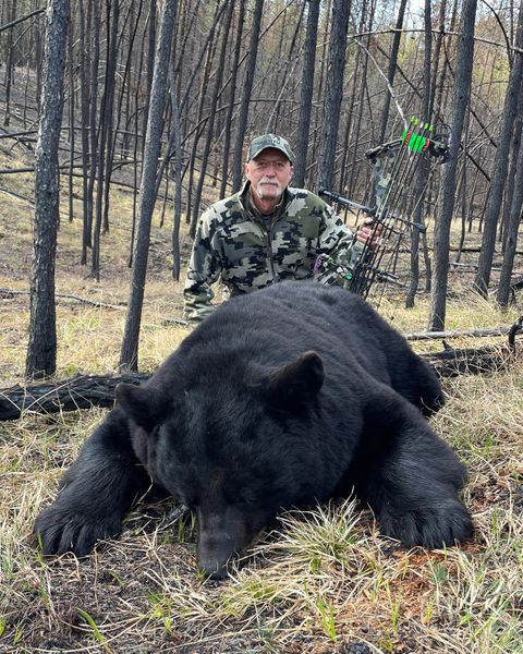 Tracked down the mighty black bear in Saskatchewan