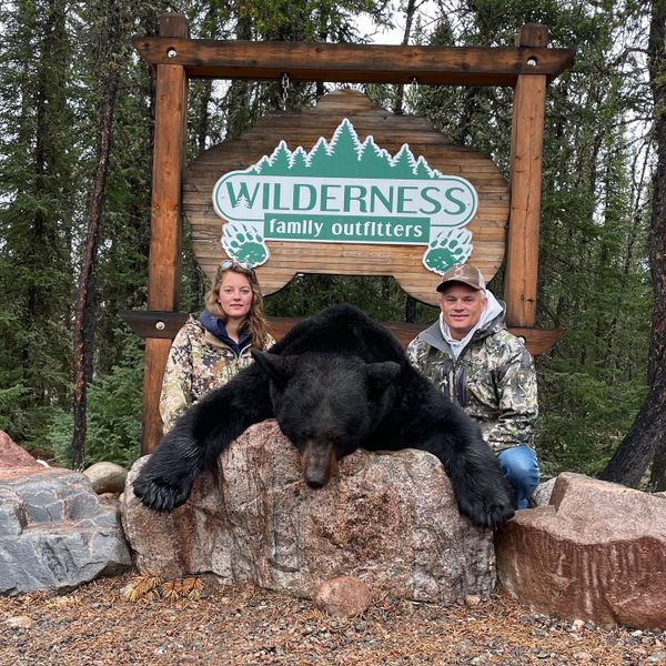 Saskatchewan black bear—majestic and powerful.