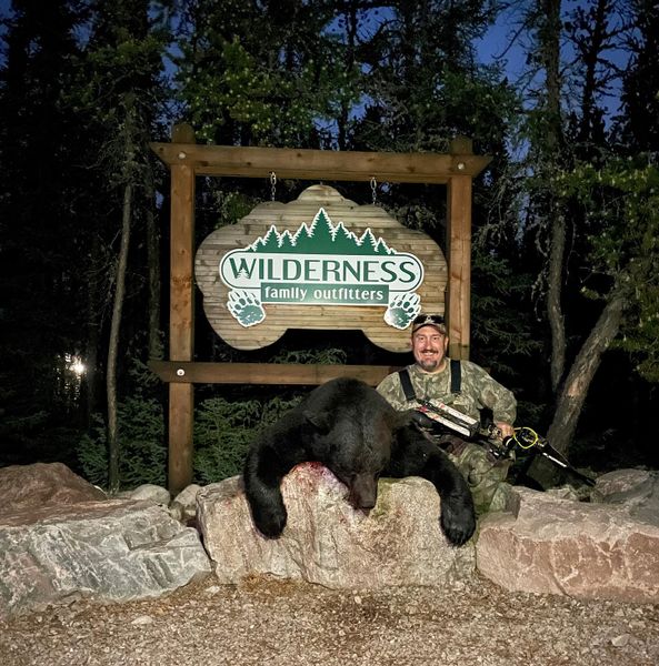 Nature at its finest—black bears in Saskatchewan.
