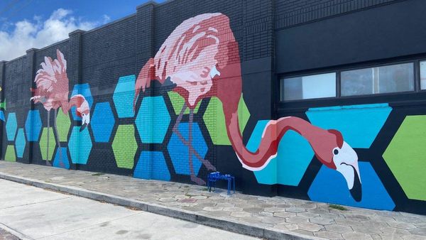 Vibrant street art brightens downtown St. Petersburg.