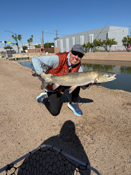 Arizona grass carp brought to the dock!