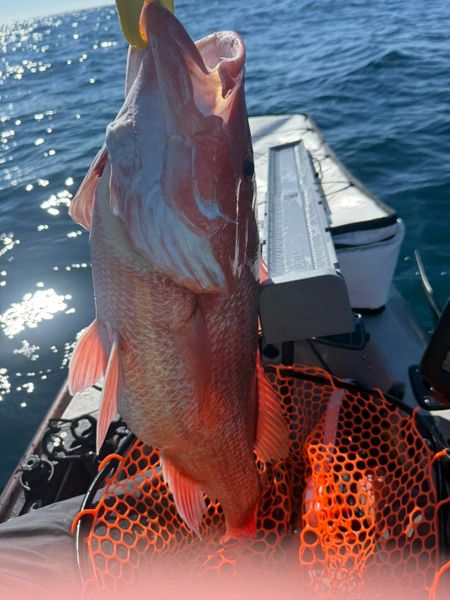 Nice red snapper from Enterprise AL waters!