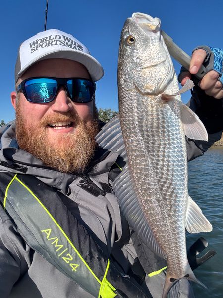 Inshore Action