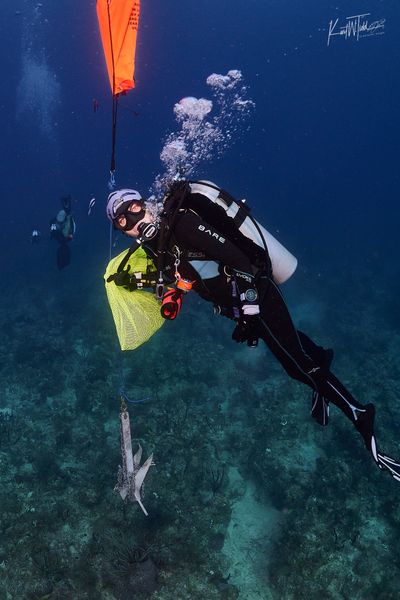 Reef conservation scuba dive in Islamorada