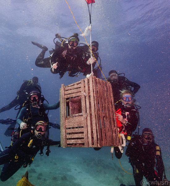 Key Dives: Your ocean adventure.