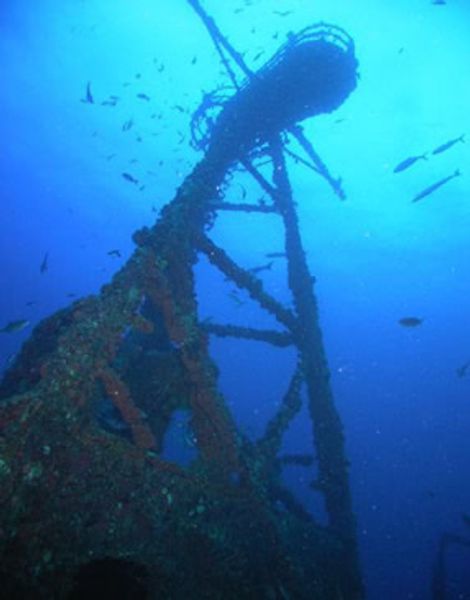 Underwater paradise found at Key Dives
