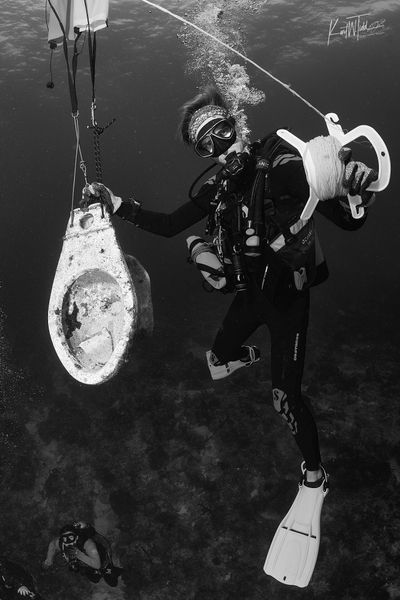 Volunteer coral restoration diving in Florida Keys