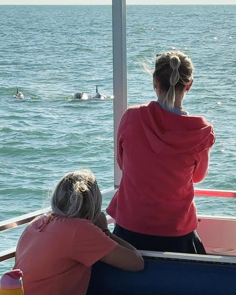 Couple smiling on a romantic sunset dolphin cruise Clearwater Beach.