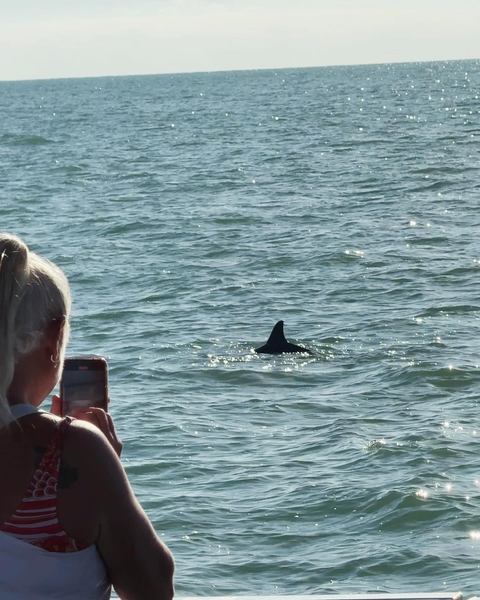 Adults and kids enjoying a Clearwater Beach dolphin adventure.