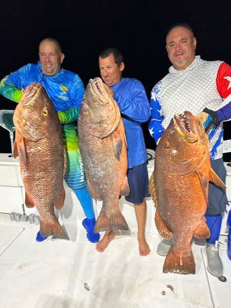 Saltwater therapy in paradise