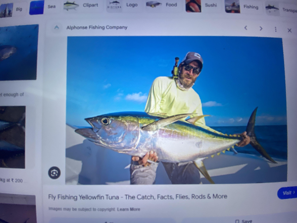 Beautiful yellowfin tuna landed in Florida City waters!