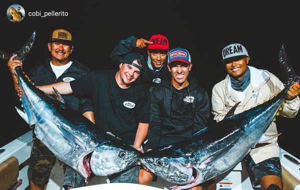 Massive bluefin tuna haul on offshore fishing trip