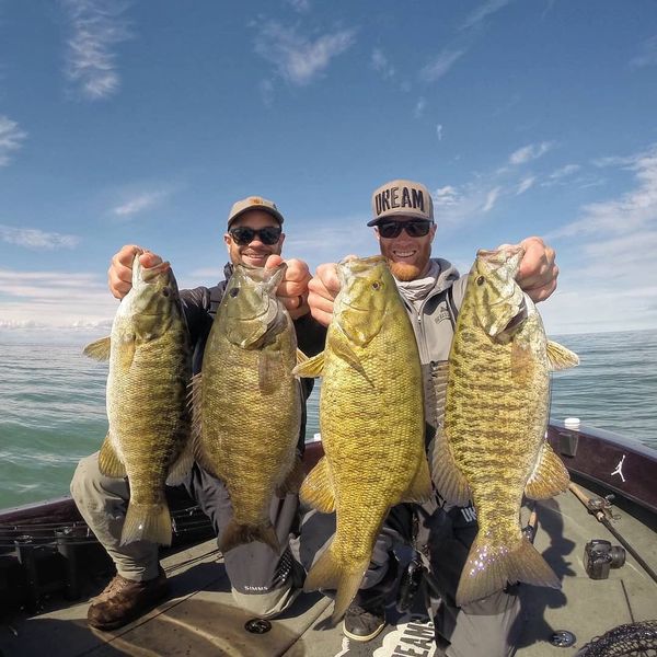 Quality smallmouth bass catch on freshwater fishing trip