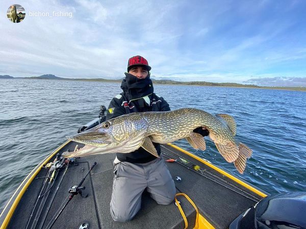 Huge northern pike catch on freshwater fishing trip