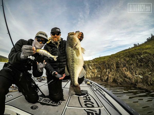 Big largemouth bass catch on freshwater fishing trip